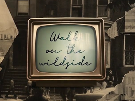 Suzanne Vega – Walk On The Wildside